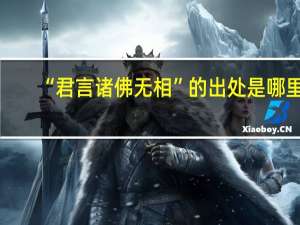 “君言诸佛无相”的出处是哪里