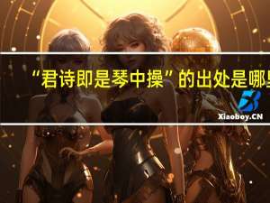 “君诗即是琴中操”的出处是哪里