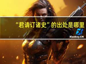 “君请订诸史”的出处是哪里