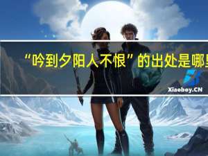 “吟到夕阳人不恨”的出处是哪里