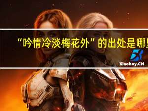 “吟情冷淡梅花外”的出处是哪里