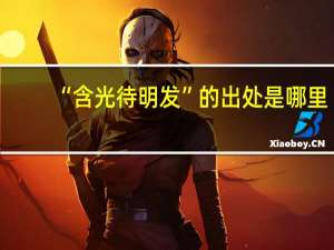 “含光待明发”的出处是哪里