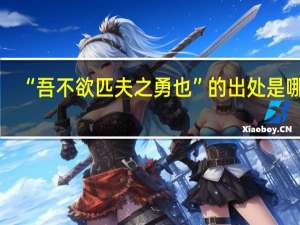 “吾不欲匹夫之勇也”的出处是哪里
