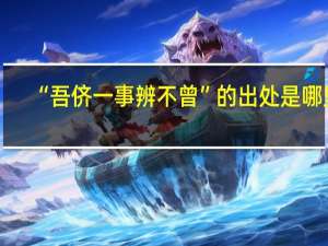 “吾侪一事辨不曾”的出处是哪里