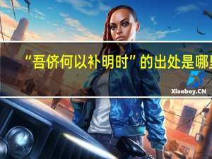 “吾侪何以补明时”的出处是哪里