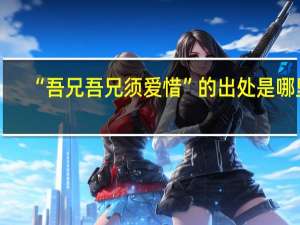 “吾兄吾兄须爱惜”的出处是哪里