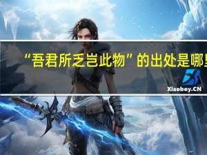 “吾君所乏岂此物”的出处是哪里