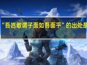 “吾岂敢谓子面如吾面乎”的出处是哪里