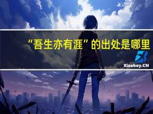 “吾生亦有涯”的出处是哪里