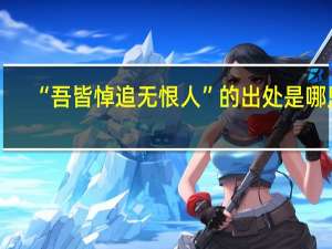 “吾皆悼追无恨人”的出处是哪里