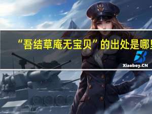 “吾结草庵无宝贝”的出处是哪里