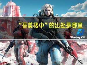 “吾美楼中”的出处是哪里
