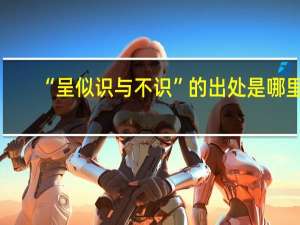 “呈似识与不识”的出处是哪里