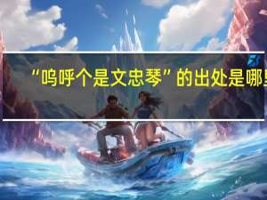 “呜呼个是文忠琴”的出处是哪里