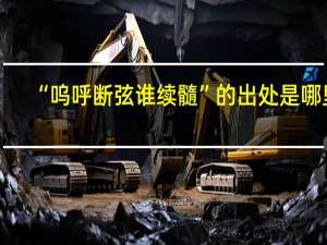 “呜呼断弦谁续髓”的出处是哪里