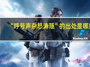“呼号声杂怒涛豗”的出处是哪里