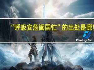 “呼吸安危阖国忙”的出处是哪里