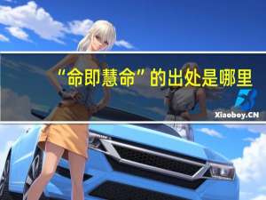 “命即慧命”的出处是哪里