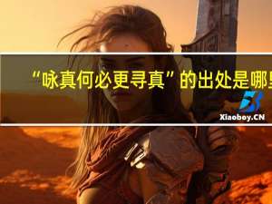 “咏真何必更寻真”的出处是哪里