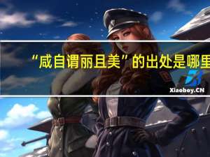 “咸自谓丽且美”的出处是哪里