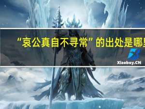 “哀公真自不寻常”的出处是哪里