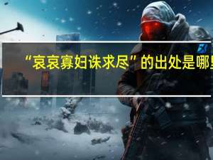 “哀哀寡妇诛求尽”的出处是哪里