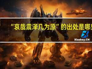 “哀哉震泽几为原”的出处是哪里