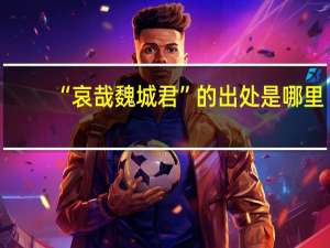 “哀哉魏城君”的出处是哪里