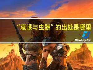 “哀哦与虫酬”的出处是哪里