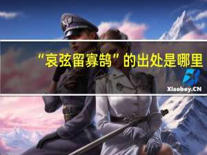“哀弦留寡鹄”的出处是哪里
