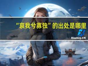 “哀我兮寡独”的出处是哪里