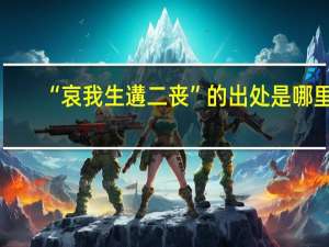 “哀我生遘二丧”的出处是哪里