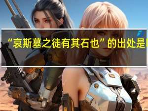 “哀斯墓之徒有其石也”的出处是哪里