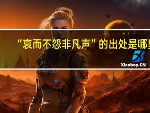 “哀而不怨非凡声”的出处是哪里
