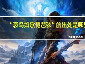 “哀鸟如歌琵琶弦”的出处是哪里