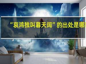 “哀鸿独叫暮天阔”的出处是哪里