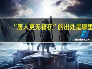 “唐人更无籍在”的出处是哪里