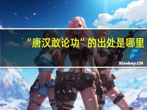 “唐汉敢论功”的出处是哪里