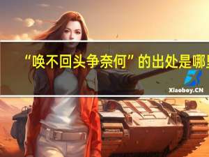 “唤不回头争奈何”的出处是哪里