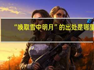 “唤取雪中明月”的出处是哪里
