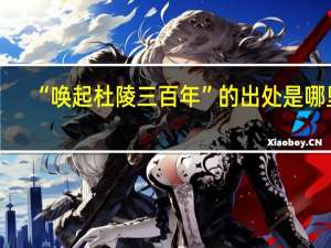 “唤起杜陵三百年”的出处是哪里