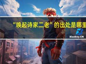 “唤起诗家二老”的出处是哪里