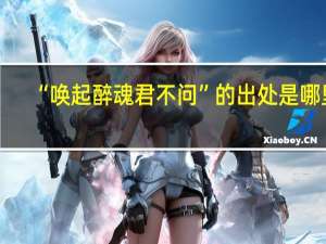 “唤起醉魂君不问”的出处是哪里