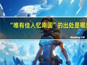 “唯有佳人忆南国”的出处是哪里