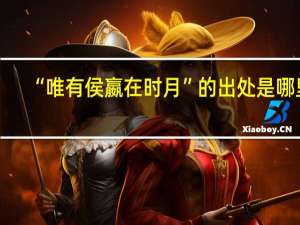 “唯有侯嬴在时月”的出处是哪里