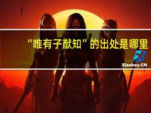 “唯有子猷知”的出处是哪里