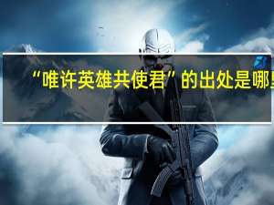 “唯许英雄共使君”的出处是哪里