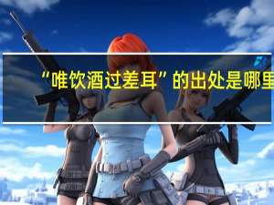 “唯饮酒过差耳”的出处是哪里
