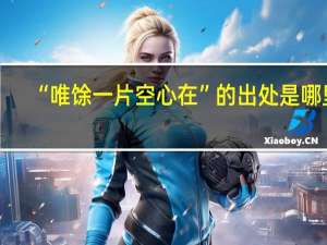 “唯馀一片空心在”的出处是哪里