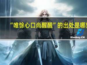 “唯馀心口尚醒醒”的出处是哪里
